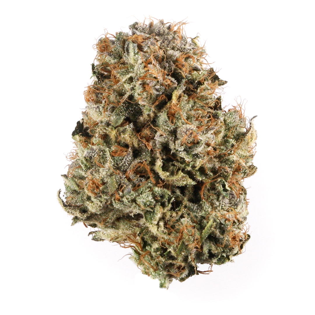 Blue Cheese Clone | Blue Cheese Marijuana Clone | Canna Clones