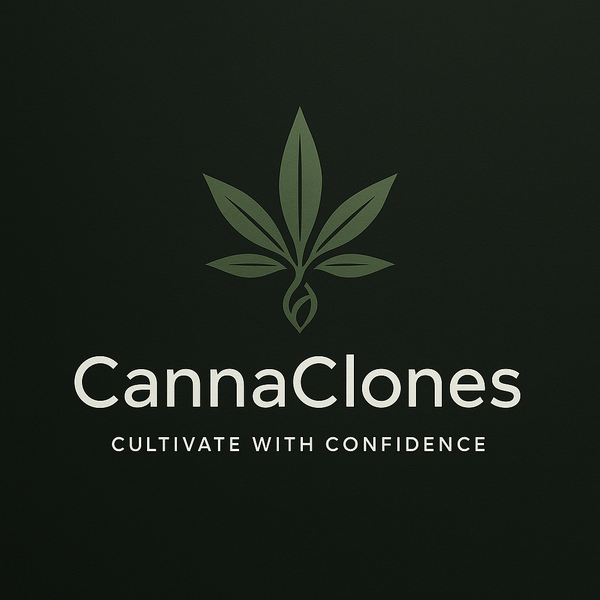 Canna Clones