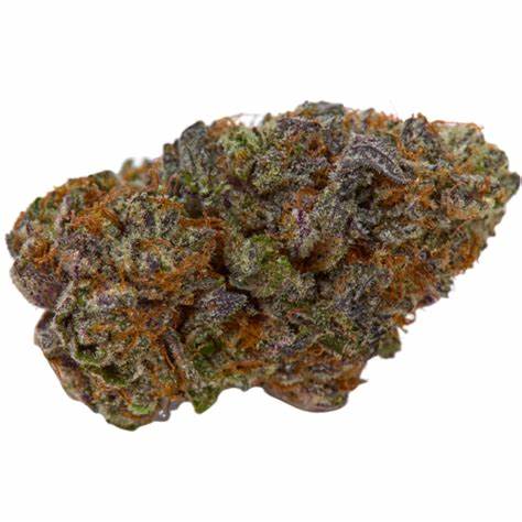 Crescendo Cannabis Clone | Hybrid Weed Clone | Canna Clones