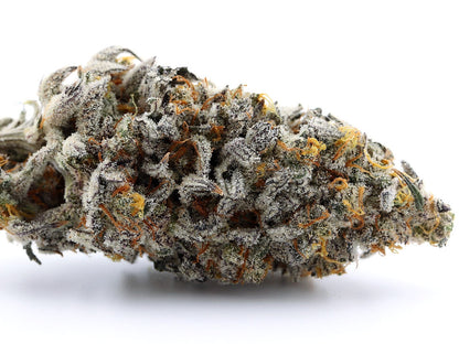 Atomic Jelly Clone | Atomic Jelly Plant | Canna Clones