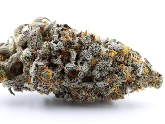 Atomic Jelly Clone | Atomic Jelly Plant | Canna Clones