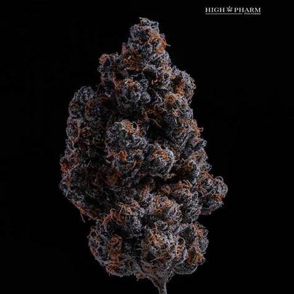 Blood Bath Clone | Hybrid Cannabis Clone | Canna Clones